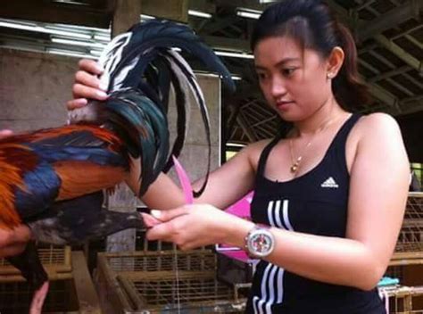 pagtatari ng manok tutorial|tutorial sa tamang sukat Ng Tari sa paa Ng manok panabong...